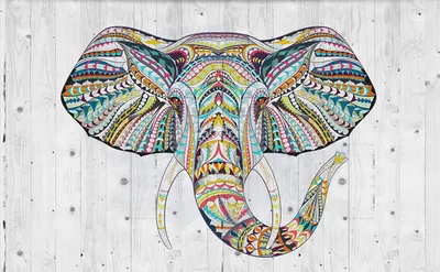 Индийские слоны - БАТИК, индийский пэчворк, вышивка, аппликация, различный  индийский декор. Обсуждение на LiveInternet… | Folk art painting, Elephant  art, Batik art