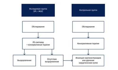 Limbal Approach-Subretinal Injection of Viral Vectors for Gene Therapy in  Mice Retinal Pigment Epithelium | Protocol (Translated to Russian)