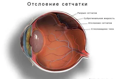 Инфекции, которые могут передаваться через воду бассейна