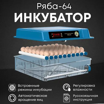 Инкубатор советский,все работаетвыводит: 8000 KGS ᐈ Птицы | Чат Кёль |  47807772 ➤ lalafo.kg