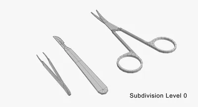 Хирургические инструменты для ветеринарии, как лучшее подспорье для рук  хирурга ✓ Статьи в блоге магазина БИОВЕТ