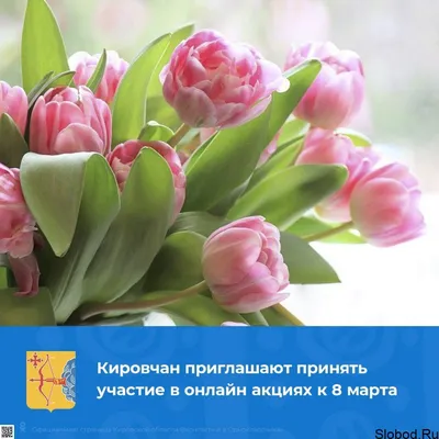 В Краснодаре в честь 8 Марта пройдут онлайн-акции и флешмобы :: Krd.ru