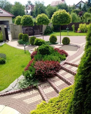 дизайн маленького сада своими руками фото: 15 тыс изображений найдено в  Яндекс.Картинках | Идеи для садового дизайна, Дизайн сада, Клумбы