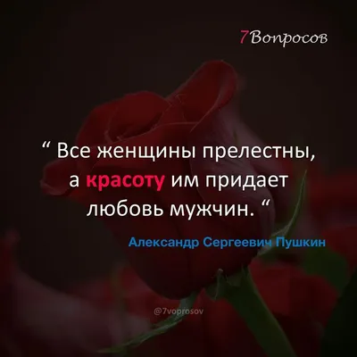 Все женщины прелестны, а красоту им придает любовь мужчин. “ © Александр  Сергеевич Пушкин . . . ❤️Яркие цитаты — Интересные мысли … | Яркие цитаты,  Мысли, Молитвы