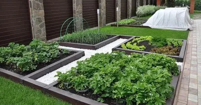 Идеи для сада и огорода: интересные примеры ландшафтного дизайна для дачи