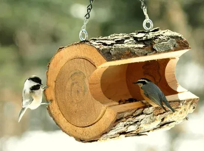 Кормушки своими руками для птиц: интересные идеи и советы для их воплощения  | Wood bird feeder, Bird feeders, Homemade bird feeders