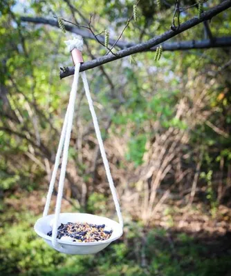 Синичник домик из дерева для маленьких птиц - купить с доставкой по  выгодным ценам в интернет-магазине OZON (519824031)
