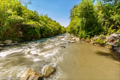 Река Иордан Место где Иисус был окрещен Стоковое Фото - изображение  насчитывающей людск, израиль: 101762114