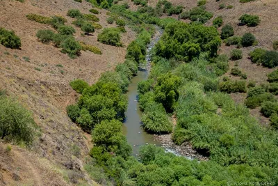 Река Иордан - Река Иордан В Hazbani, Один Из Потоков, Питающих Основной  Иордан На Севере Израиля Фотография, картинки, изображения и  сток-фотография без роялти. Image 27354357