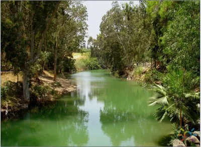 Река Иордан превращается в сточную канаву | АрабМир