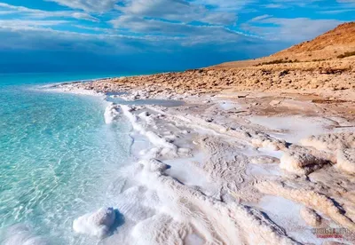 Иордания. Красное море | Traveling.ru