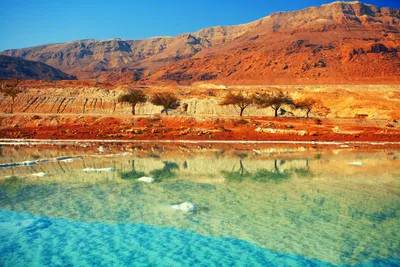 Иордания красное море (51 фото) - 51 фото