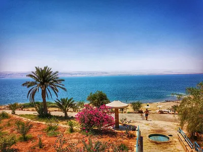Королевство Иордания в апреле: Акаба, пустыня Вади-Рам, Петра и отдых на  Красном и Мёртвом морях за 195 000 RUB - Путешествуй разумно