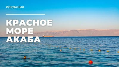 Иордания. Акаба. Красное море. :: Лариса Мироненко – Социальная сеть ФотоКто