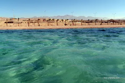 Отдых в Иордании на Красном Море: цены, отзывы туристов