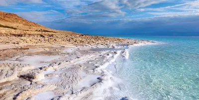 Продано! Иордания: отдых на 4 ночи на Красном море + 3 ночи на Мертвом море,  вылет 23 декабря