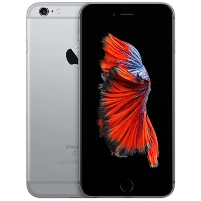 Apple iPhone 6s Plus 16GB Space Gray — купить в Минске ☛ Интернет магазин  iCenter