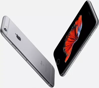 Смартфон Apple iPhone 6s 64Gb Space Gray купить недорого в Минске, цены –  Shop.by