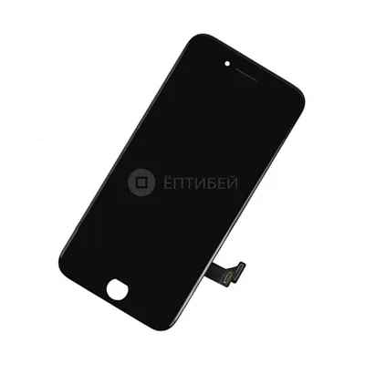 iPhone 7, 32 ГБ, бу, Чёрный бу купить: цена 2CMN8X2 бу, рассрочка -  i-Store.by