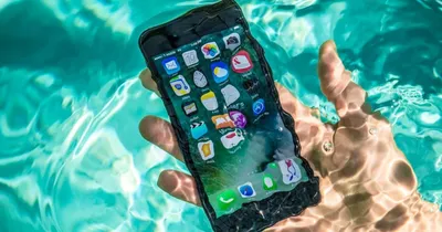 Почему iPhone 7 и iPhone 7 Plus не защищены от погружения в воду |  AppleInsider.ru