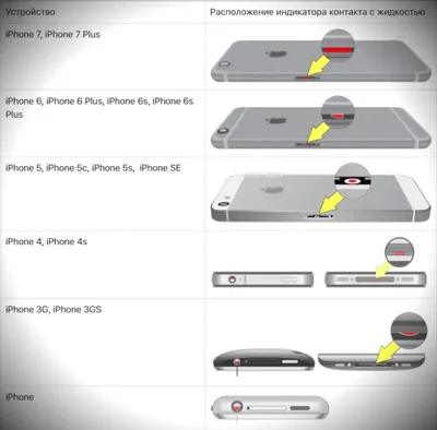 Если iPhone попал в воду - что нужно делать: пошаговая инструкция