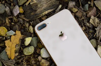 Разблокированный оригинальный Apple iPhone 8 plus 64 Гб/256 ГБ шестиядерный  3D сенсорный идентификатор LTE WIFI 12.0MP 5,5 дюймов сканер отпечатка  пальца | AliExpress