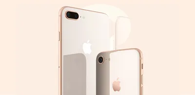 Купить Apple iPhone 8 128Gb Space Gray (Серый космос) по низкой цене в СПб