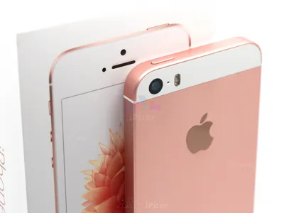Купить Apple iPhone SE 16Gb Rose Gold (Розовое золото) по низкой цене в СПб