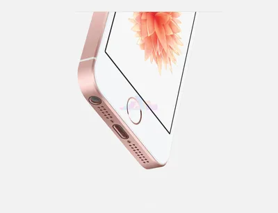 Купить Apple iPhone SE 32Gb Rose Gold (Розовое золото) по низкой цене в СПб