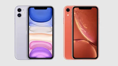 Чем различаются iPhone 11 и iPhone XR — Блог restore Digest