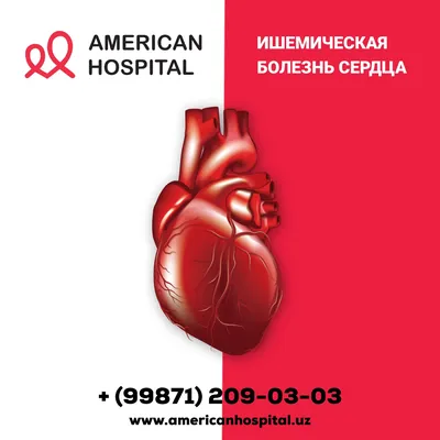 Ишемическая болезнь сердца (ИБС) - симптомы, причины, факторы риска,  диагностика и лечение в медицинских центрах «К+31