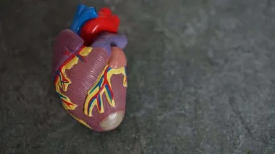 Ишемическая болезнь сердца — симптомы, причины и методы лечения ишемии