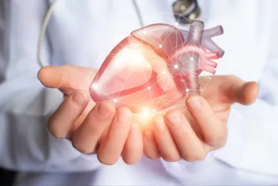 Что такое искусственное сердце: как работает медицинское сердцечеловека