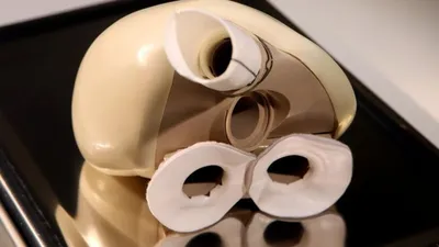 3D принтер напечатал искусственное сердце | КриоРус
