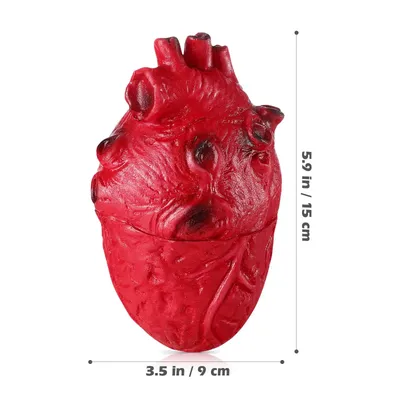 Человеку пересадили полностью искусственное сердце за $150 000 — Секрет  фирмы