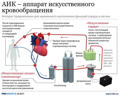 Вырастить искусственное сердце