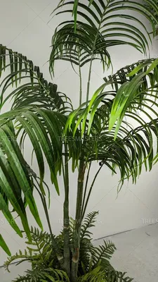 🌳 Искусственная пальма Арека, 90-200см купить » Искусственные растения с  доставкой по всей России