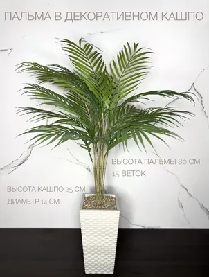 Купить Искусственная пальма в кашпо, для интерьера. по выгодной цене в  интернет-магазине OZON.ru (841260836)