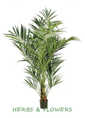 Искусственная пальма.Пальма декоративная (67 см) (ID#815792872), цена: 137  ₴, купить на Prom.ua