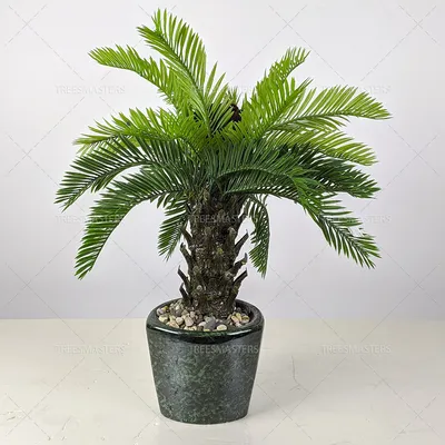 🌳 Искусственная пальма, настольная купить » Искусственные растения с  доставкой по всей России