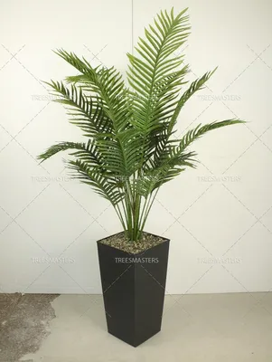 Купить Искусственное растение Пальма /Искусственные цветы для декора/Декор  для дома по выгодной цене в интернет-магазине OZON.ru (169015266)