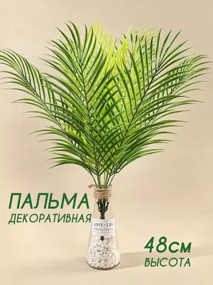 Пальмы искусственные купить недорого в Москве - In-Green