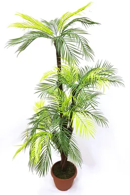 Купить Искусственное дерево пальма /Искусственные цветы для декора/Декор  для дома по выгодной цене в интернет-магазине OZON.ru (177833186)