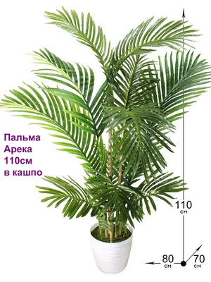 🌳 Искусственная пальма Арека, 90-200см купить » Искусственные растения с  доставкой по всей России