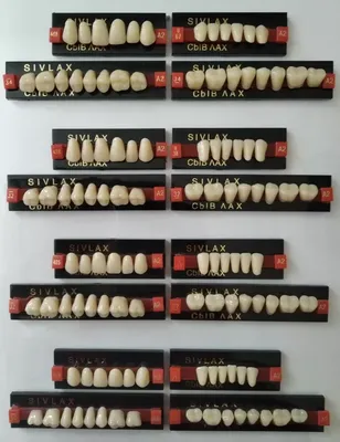 Искусственные зубы Устное лечение и стоматология Стоковое Фото -  изображение насчитывающей предмет, чисто: 160799882