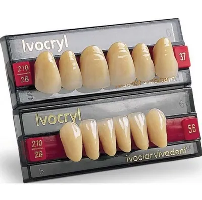 Временные искусственные силиконовые протезы на верхние и нижние зубы -  купить с доставкой по выгодным ценам в интернет-магазине OZON (1172330389)