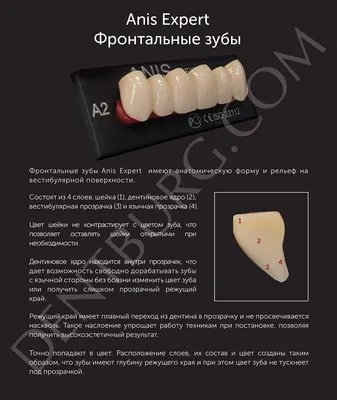 Зубы искусственные IVOCRYL фронтальные, верхняя челюсть, цвет BL1, фасон 12  уп/6шт 630620 купить в Казани по цене ДИОН-медсервис