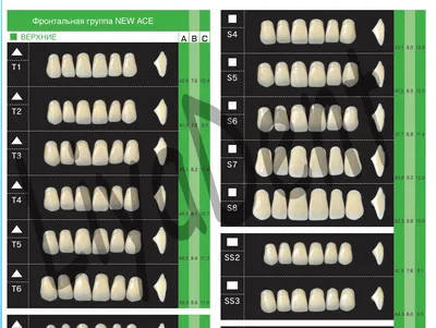 Чем искусственные зубы отличаются от натуральных? | Как они это делают? |  Дзен