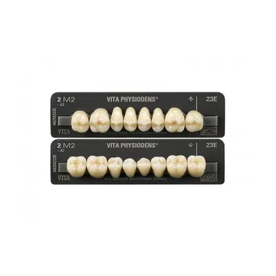 Материалы стоматологические вспомогательные: Spofadent Plus,(зубы  искусственные пластмассовые 1 гарнитур)
