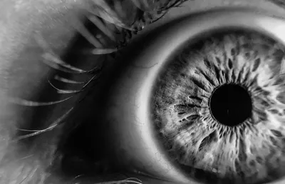 Ученые создали искусственный глаз, который видит даже в темноте -  Российская газета